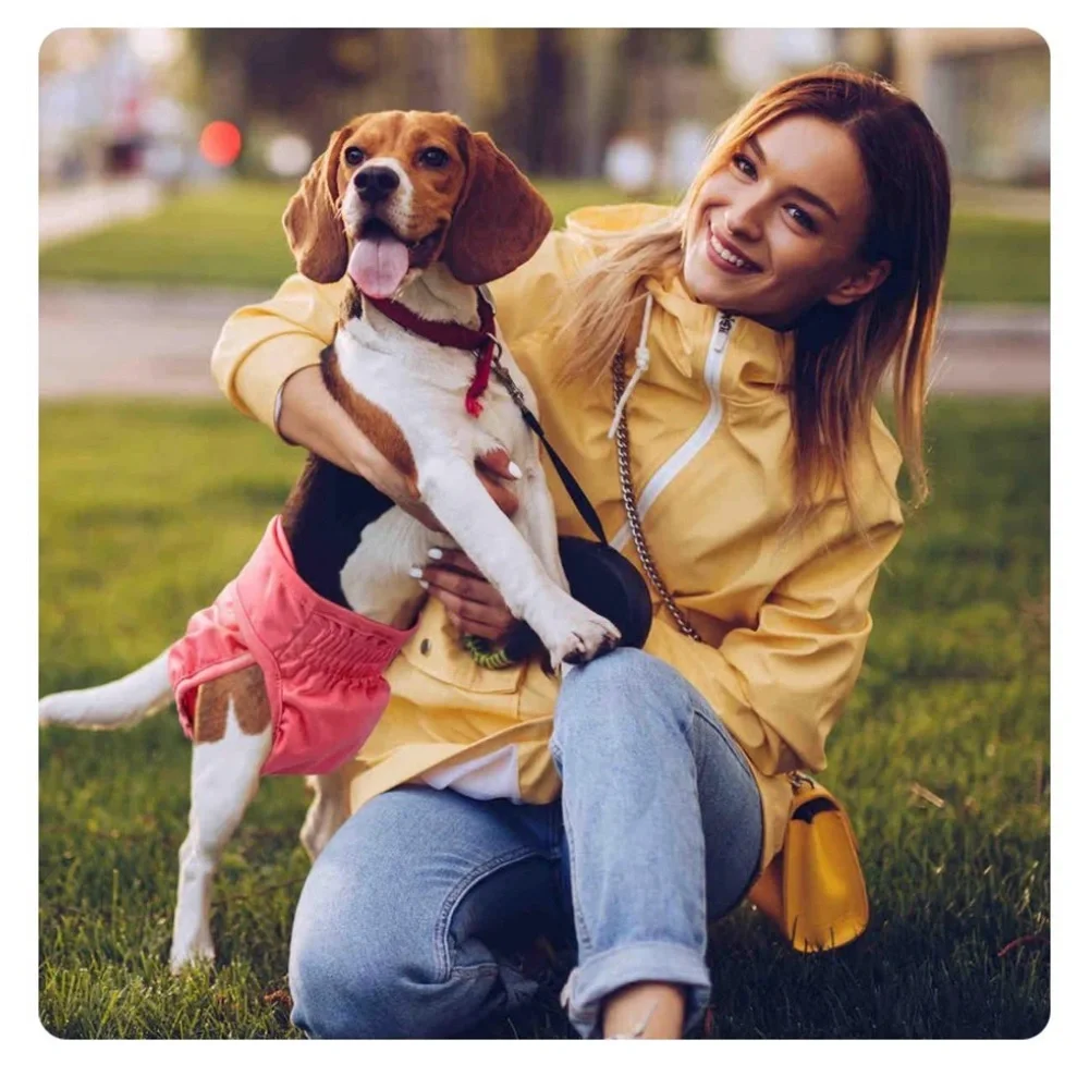 PET SOFT REUSABLE 🐶 BROWN PUPPY/DOG DIAPER SMALL